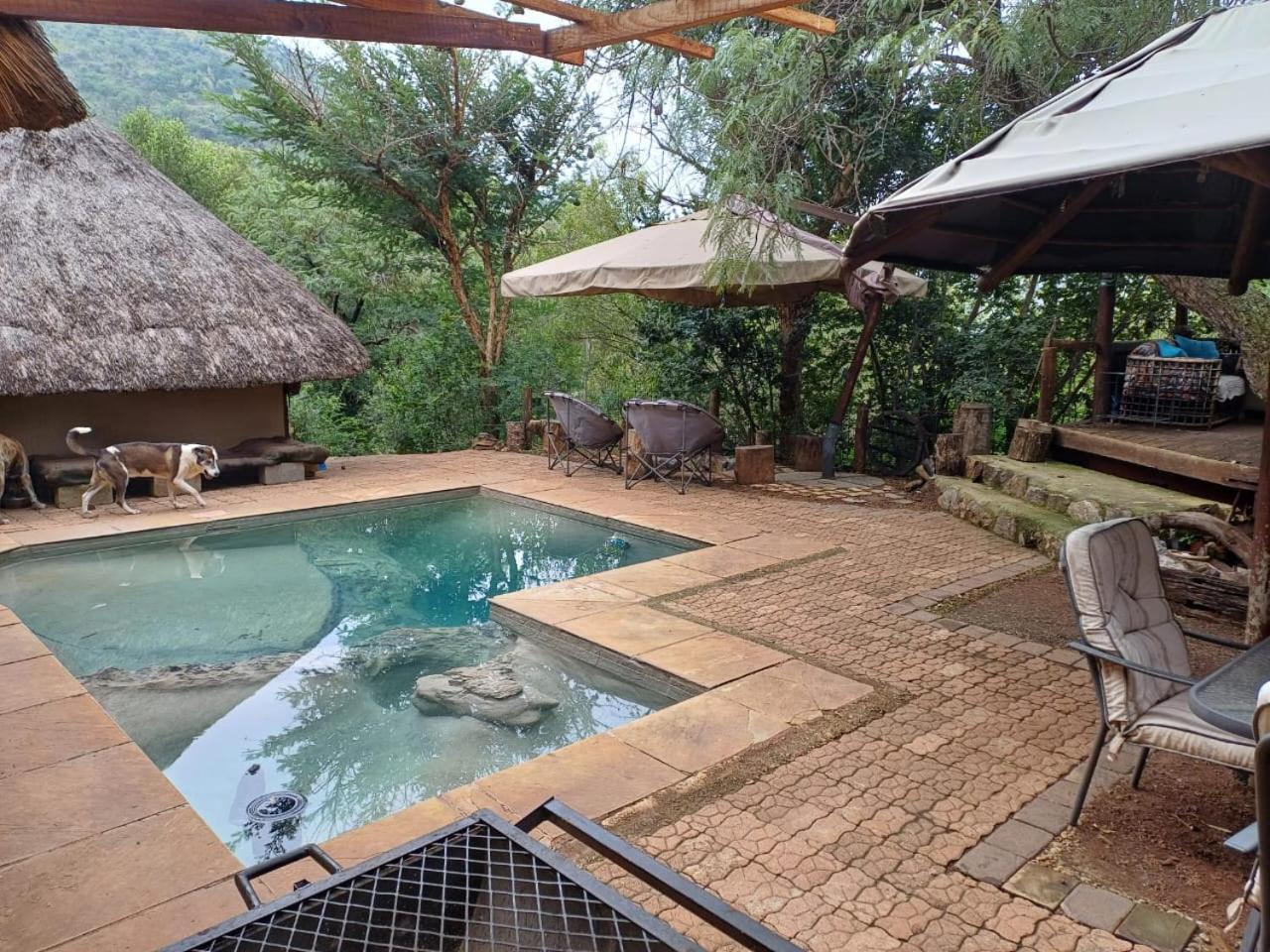 Adorable Unique - African Bush Feel *